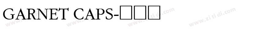 GARNET CAPS字体转换